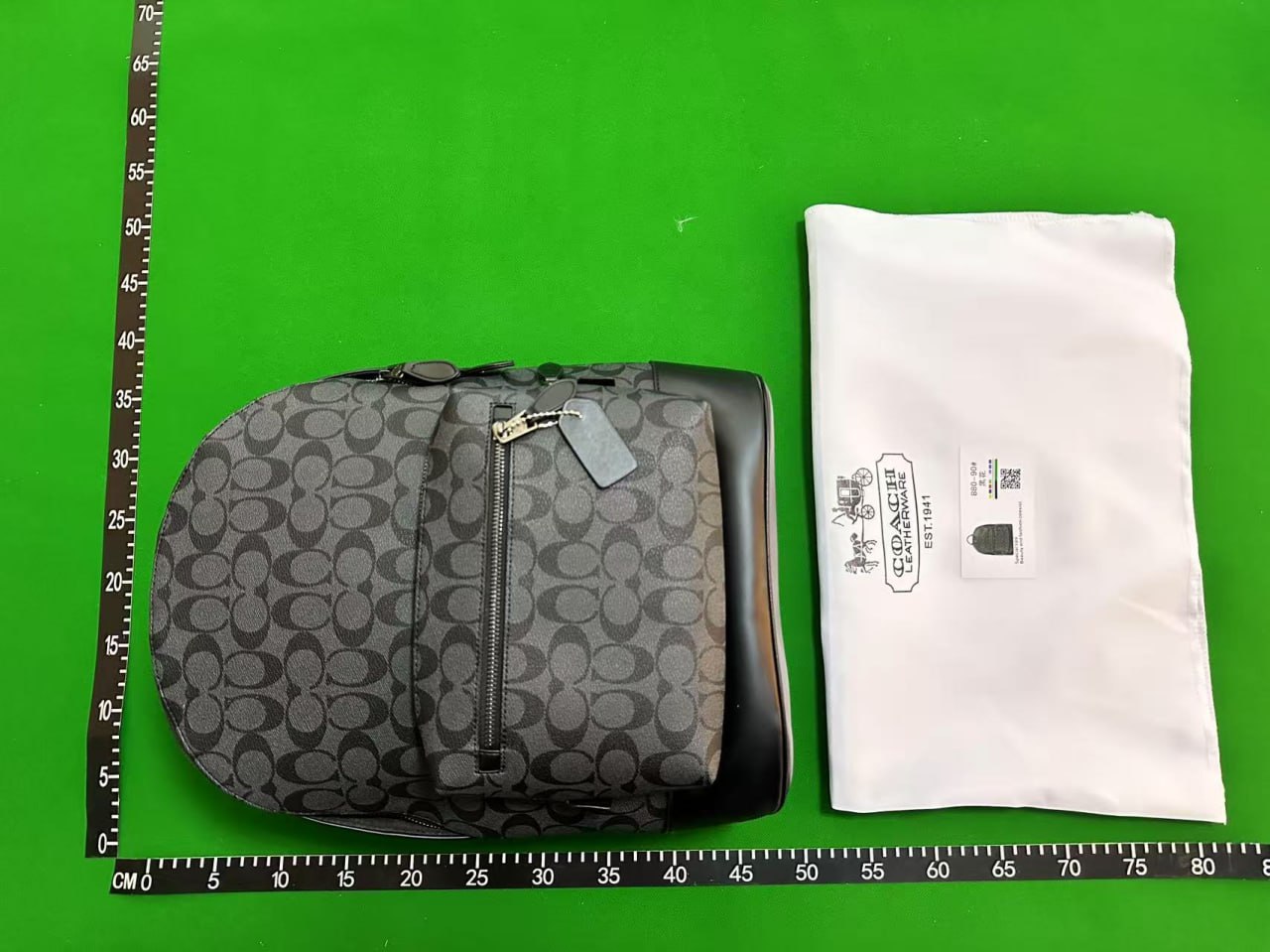 coach bags -2
