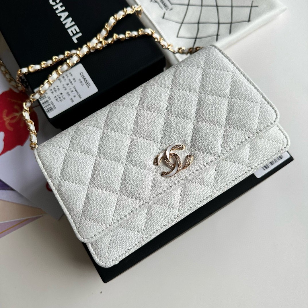 Chanel bags -3