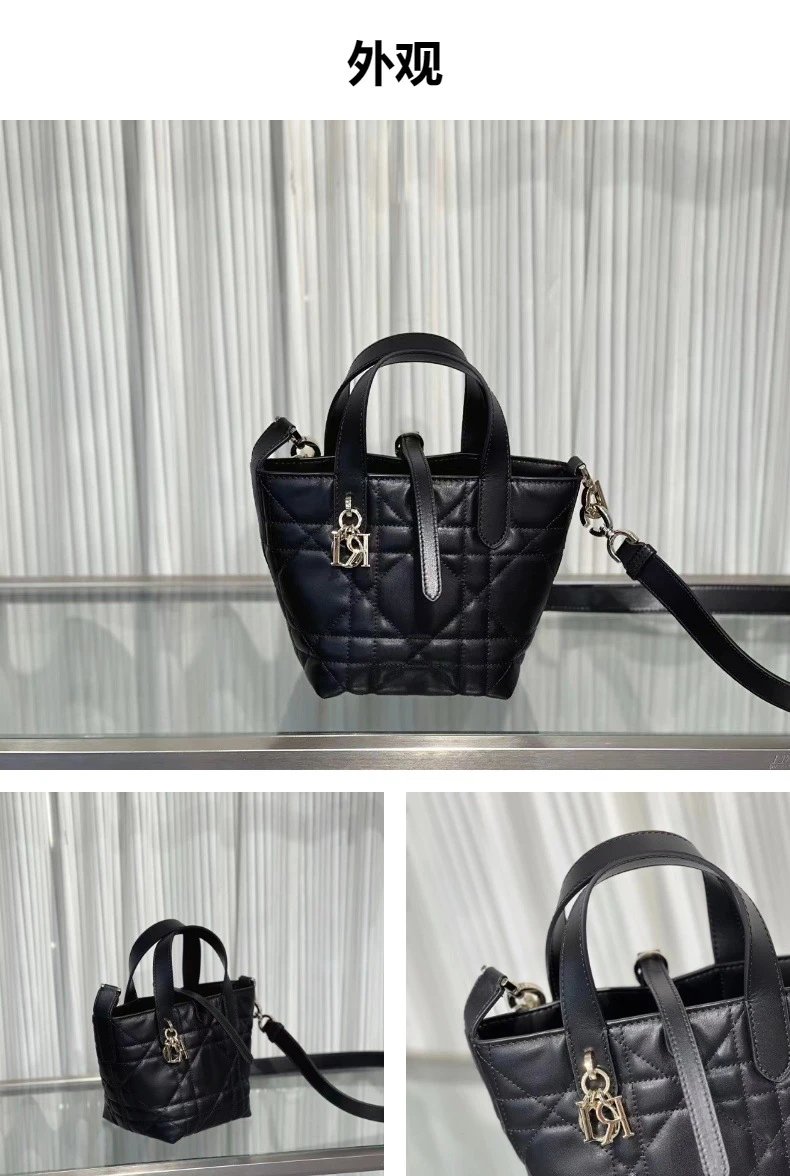 Dior bag -2