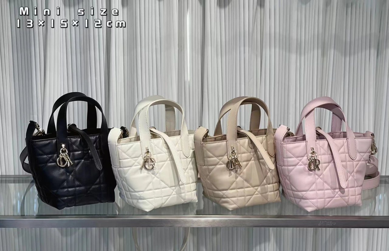 Dior bag -3