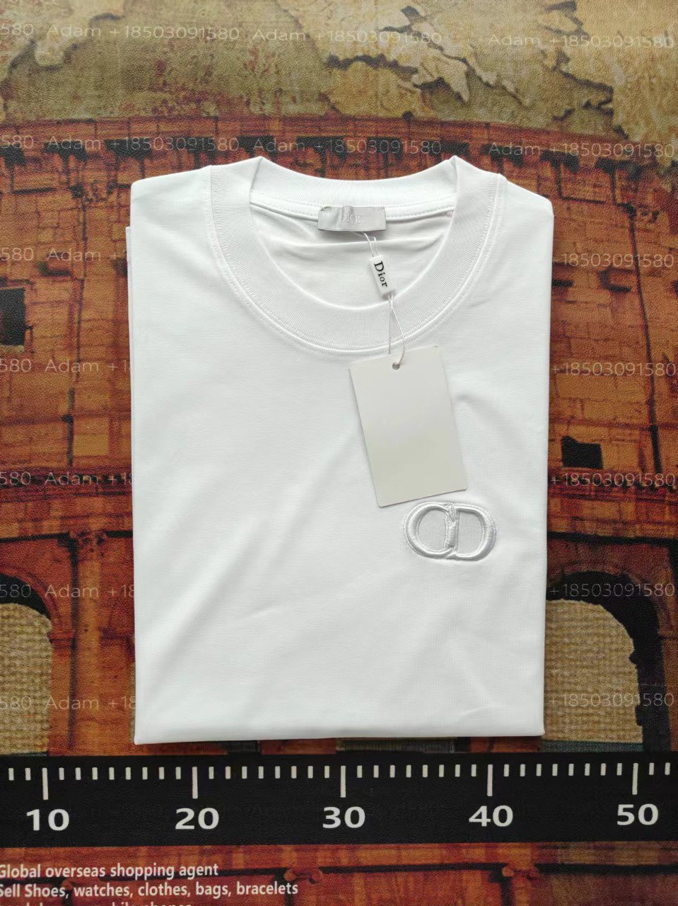 DIOR T-Sirt1 -2