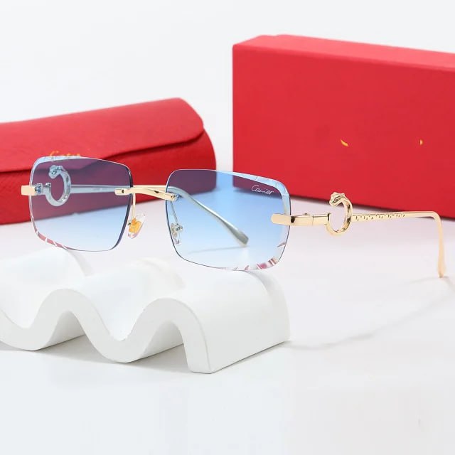 Cartier sunglasses -2