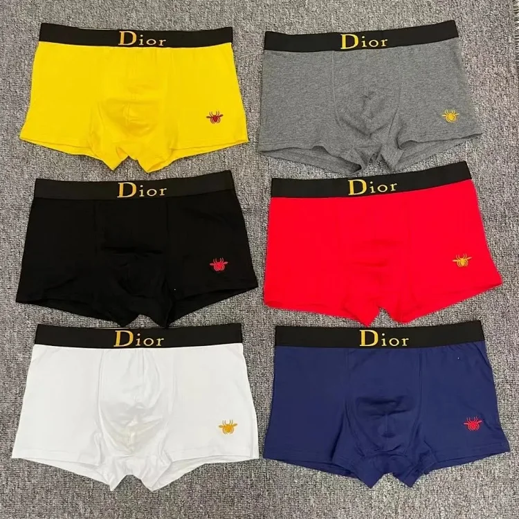  Dior Underwear