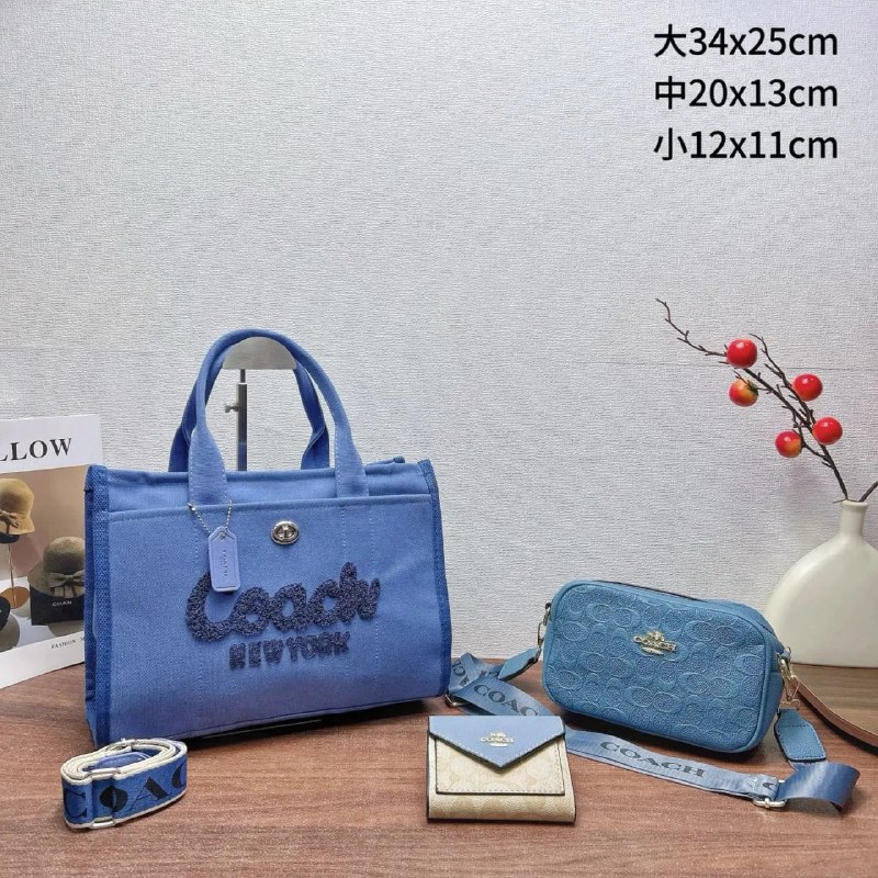 Coach Bags -4