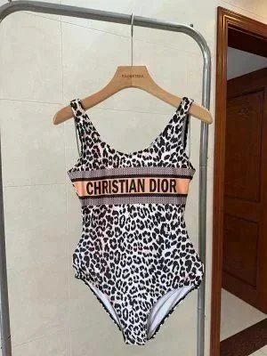 Dior Bikini Swimsuit Useful Set(32 style) -2