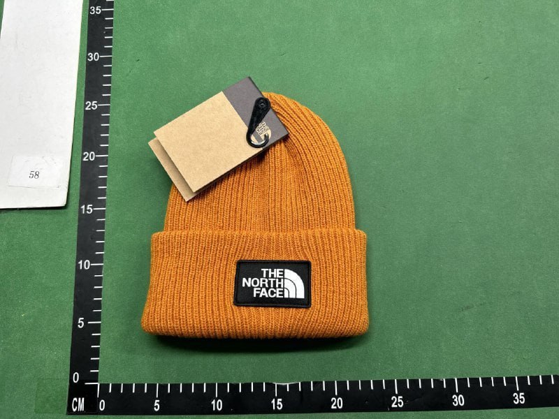 hat(The North Face & canada goose hat & moncler & stone) -2