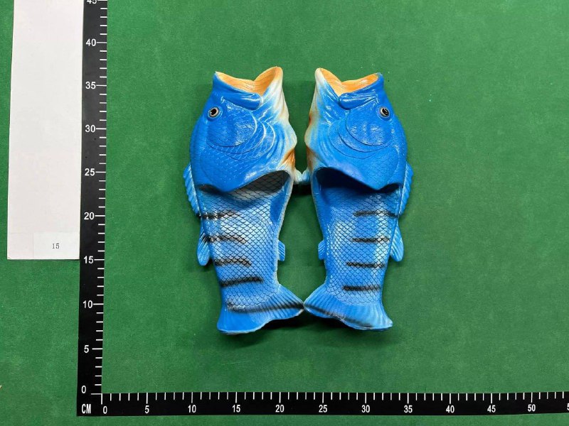 FISH SLIDES -3