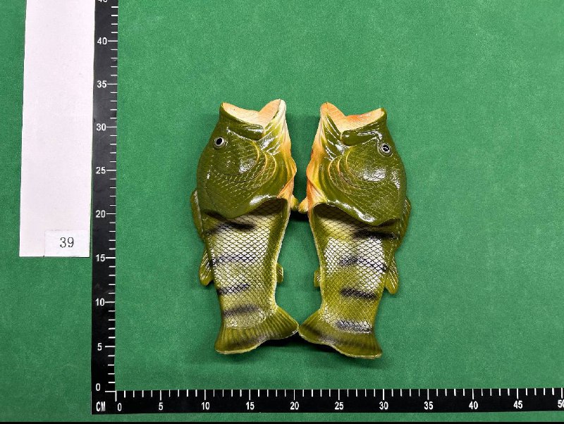 FISH SLIDES -4