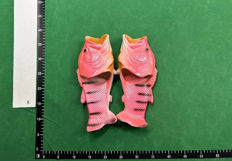 FISH SLIDES -2