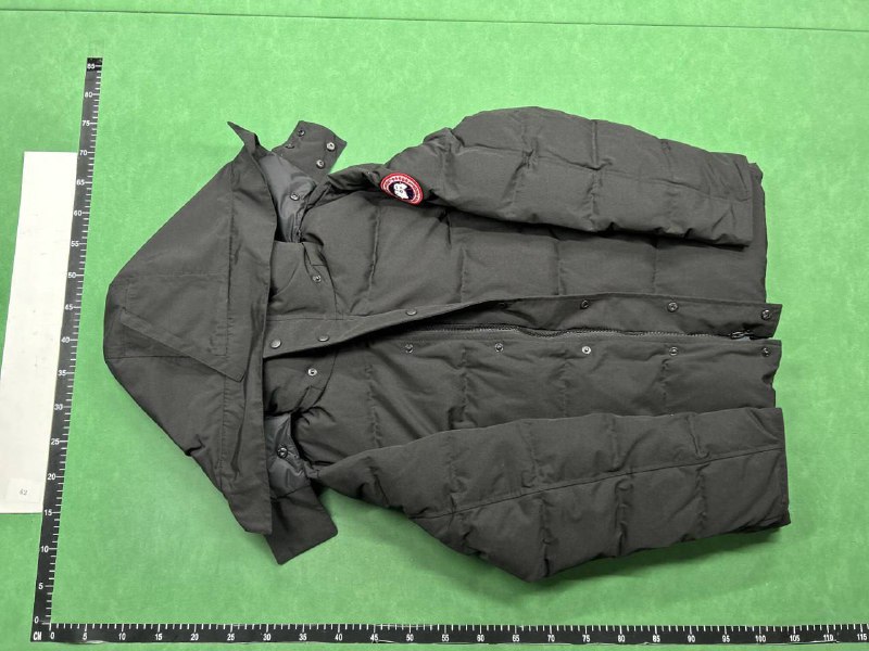 Canada Goose Down -4