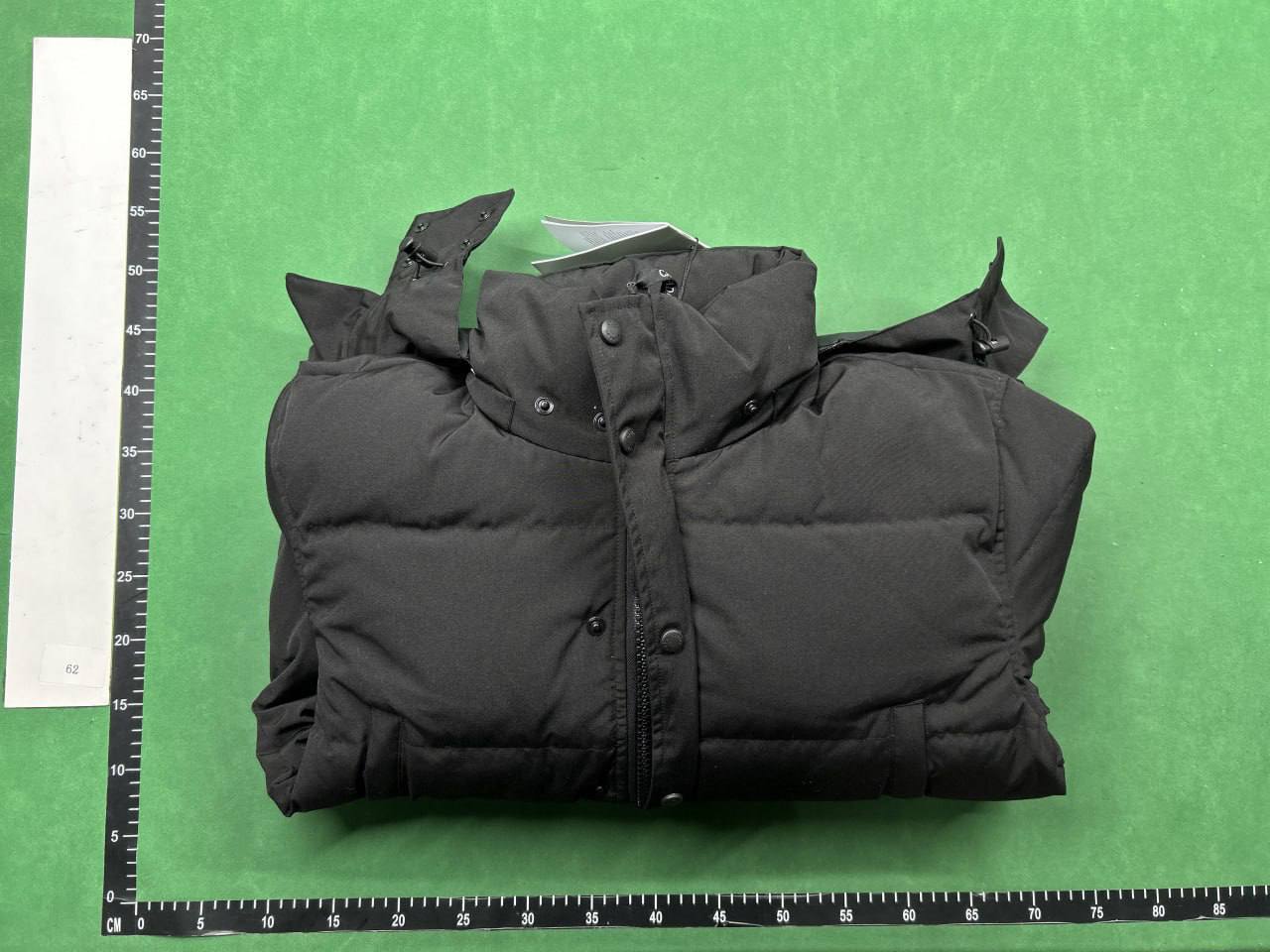 Canada Goose Down -2