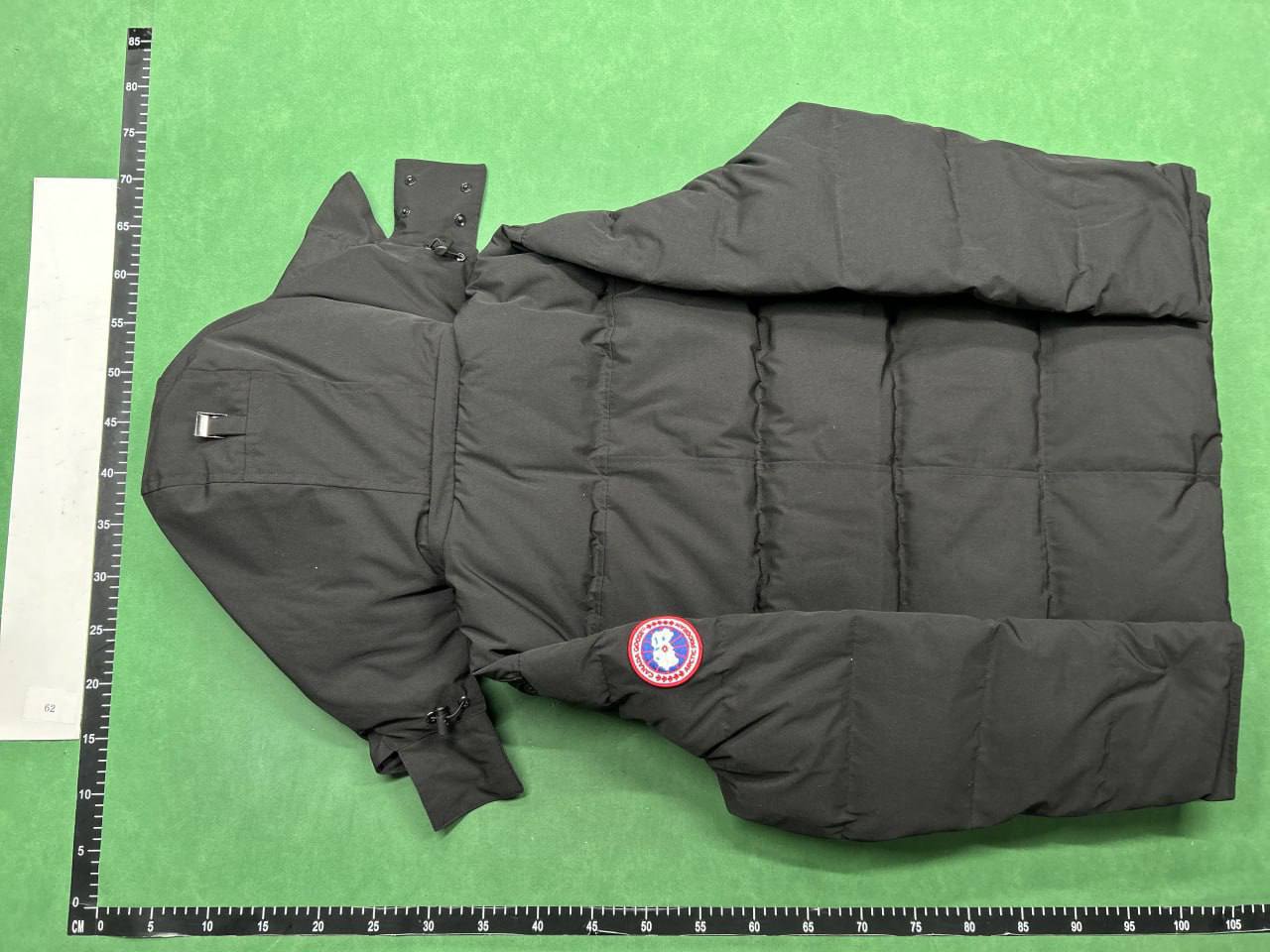 Canada Goose Down -3