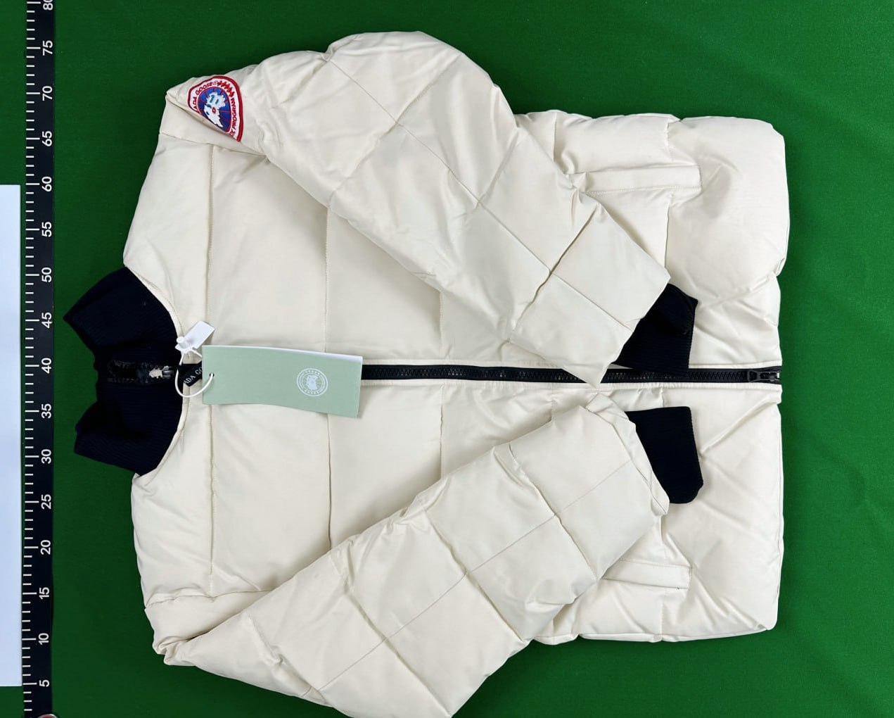 Canada Goose Puffer -4