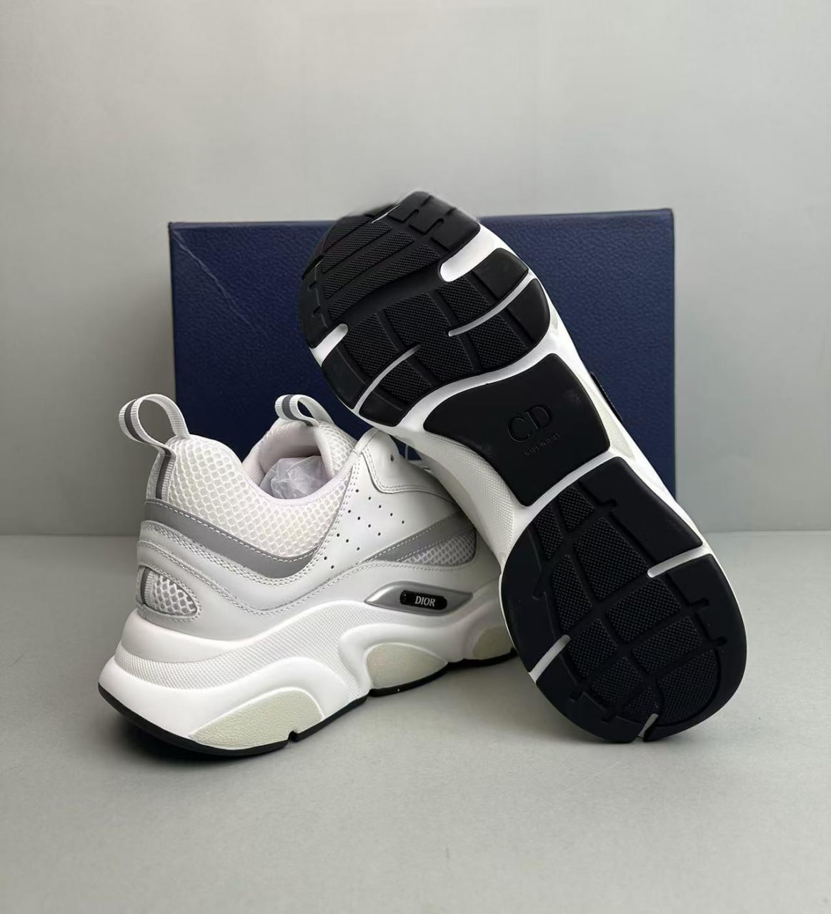 Dior B22 -3