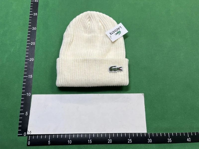 Lacoste Beanie（40+ Styles） -3