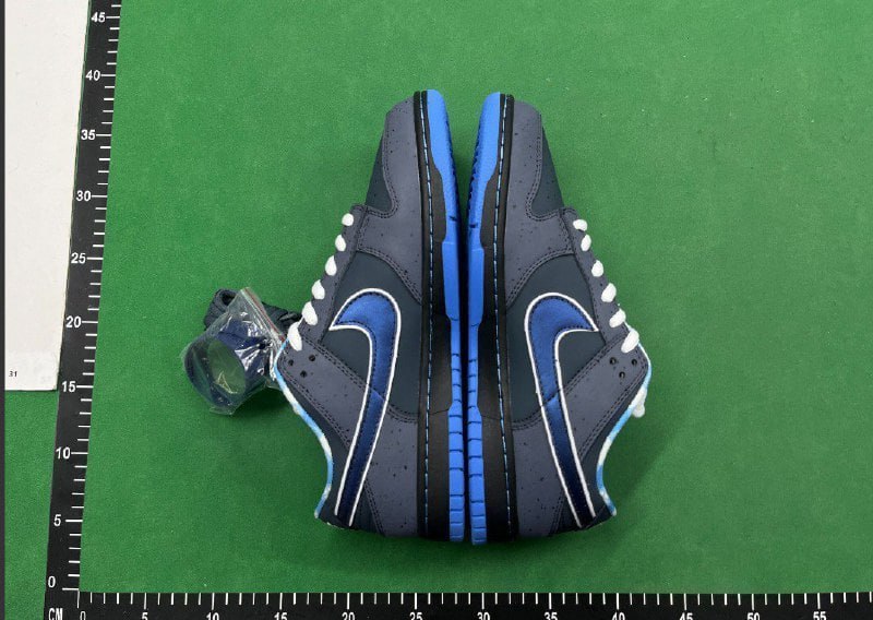 Dunk Low Plum shoes -2