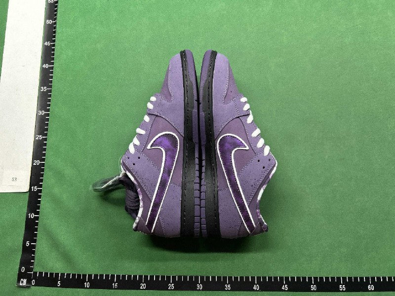 Dunk Low Plum shoes -5
