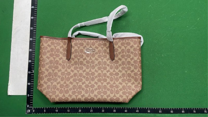 Coach, Fendi, Louis Vuitton, Gucci, Prada Bags [40+ styles] -5