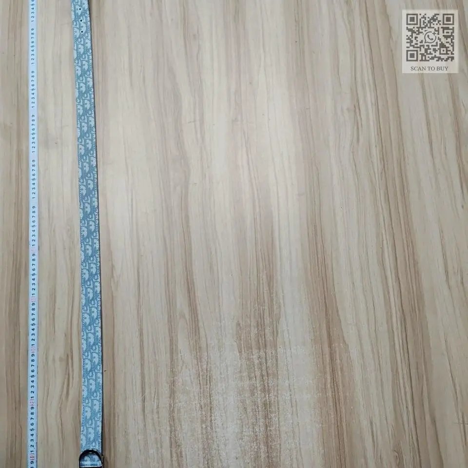 Dior belt1 -4