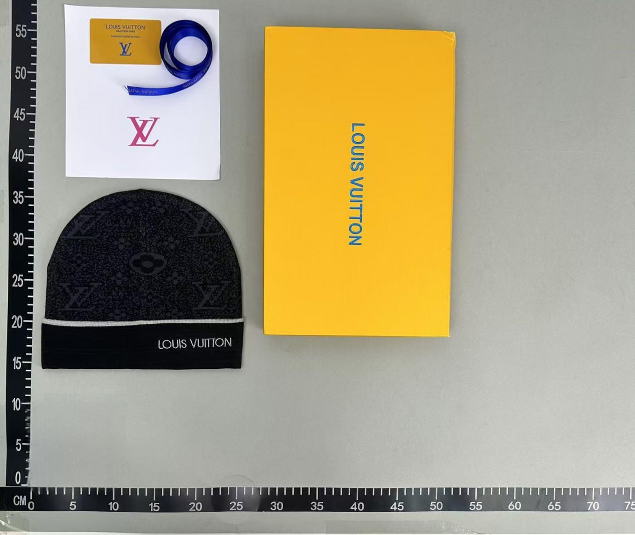 Louis Vuitton Hat1 -2