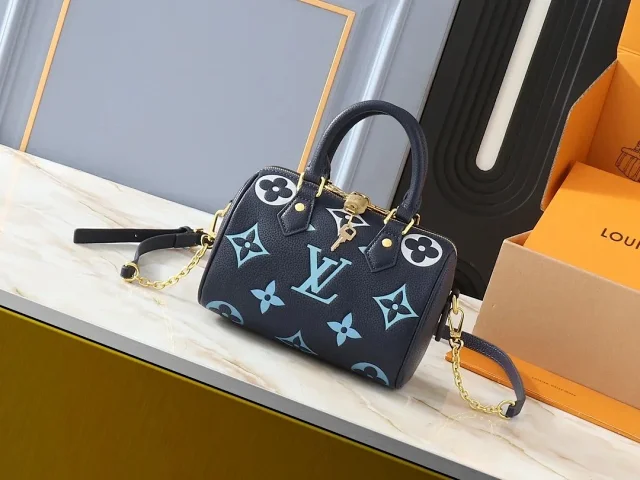 Louis Vuitton Bag  -2