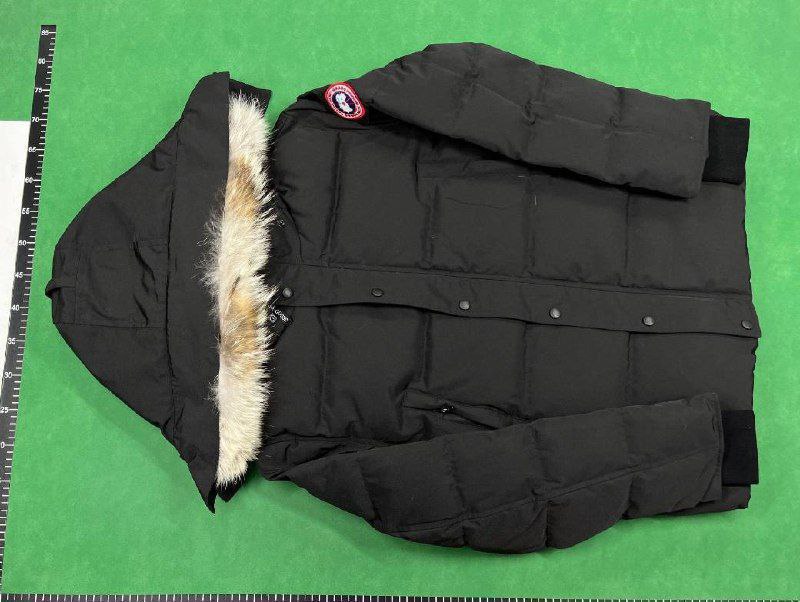 Canada Goose Down Jacket 39 styles -4