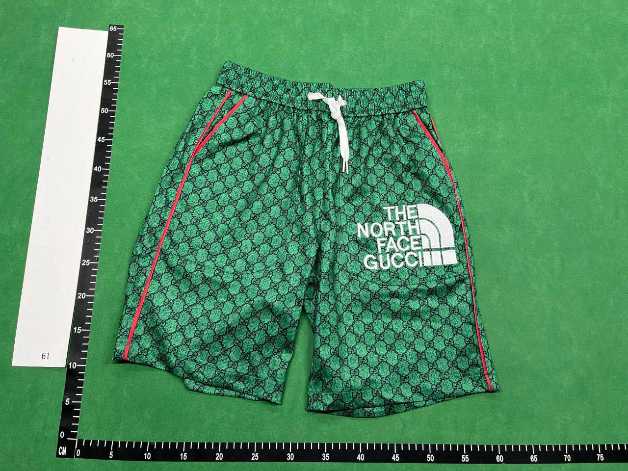 THE NORTH FACE shorts -2