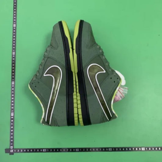 CONCEPTS x Nike Dunk SB  -2