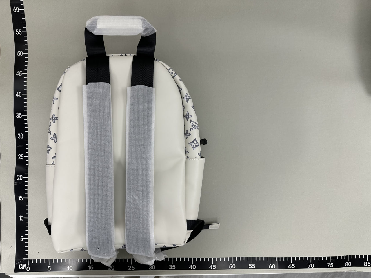Louis Vuitton Backpack -3