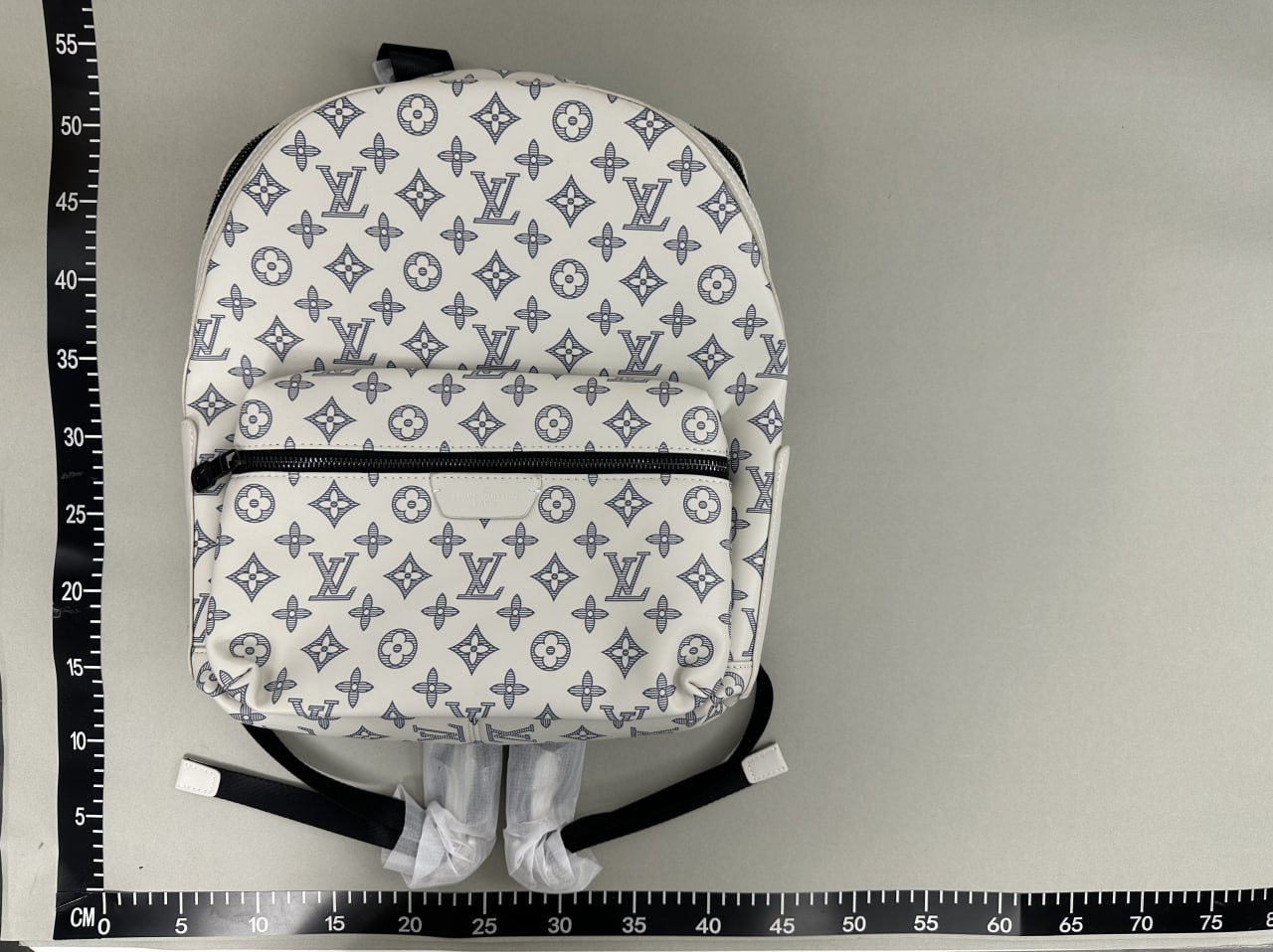 Louis Vuitton Backpack -2