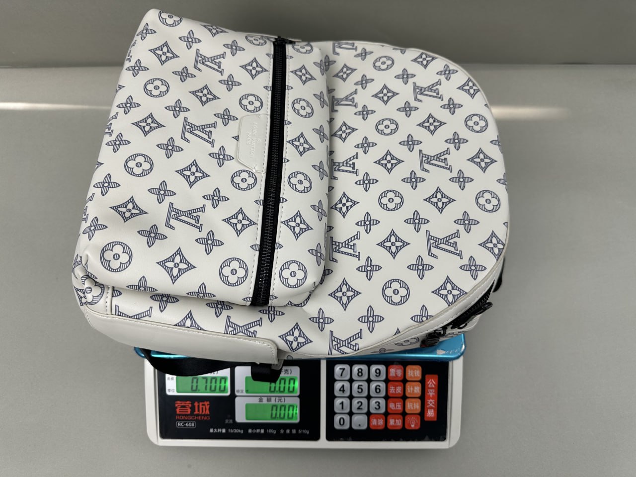 Louis Vuitton Backpack -5