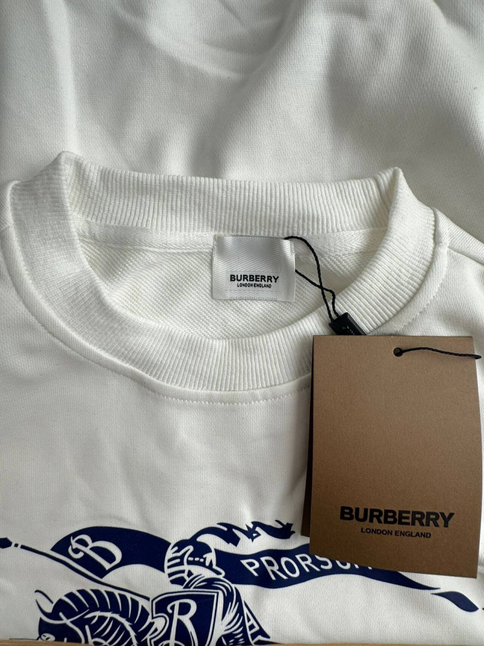  Burberry Hoodie 1 -2
