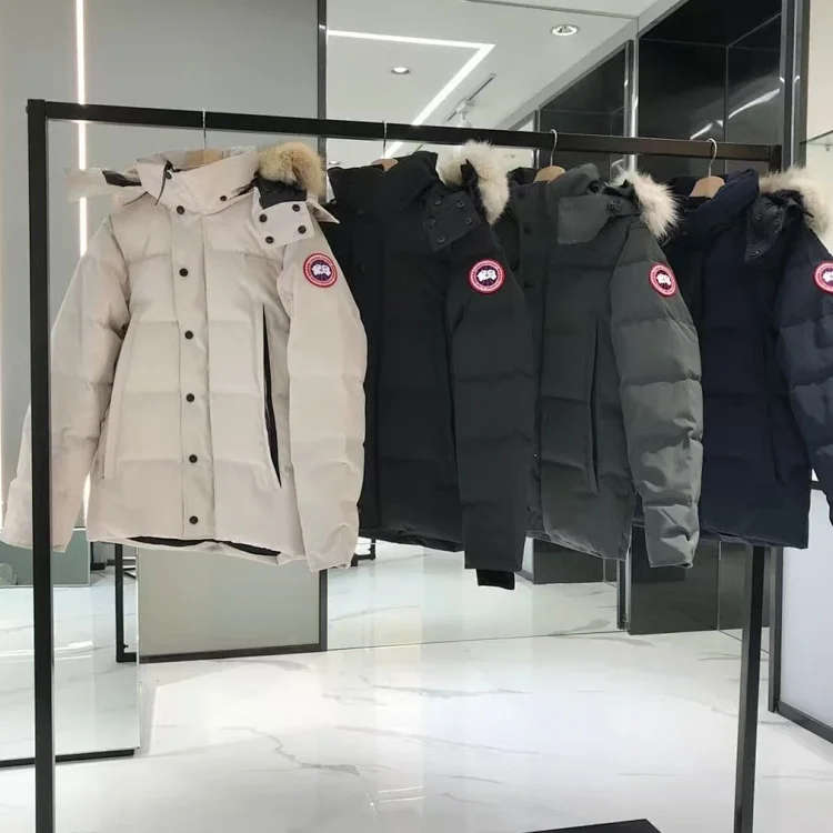 Canada Goose & Ralph Lauren &Moncler & Burberry & Dior down jacket