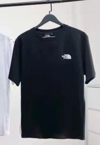  fTHE NORTH FACE   t-shirt -2