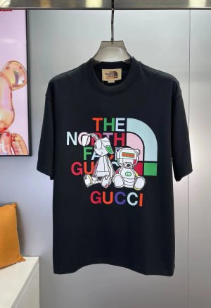  fTHE NORTH FACE   t-shirt -3