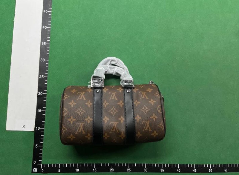  Louis Vuitton Mini Speedy Handbag [11 styles]