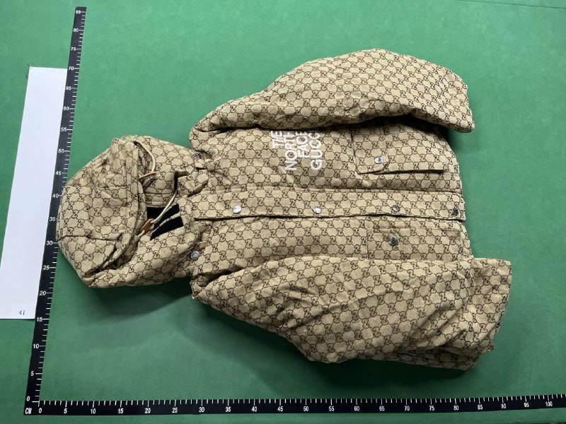 The North Face x Gucci Puffer -3