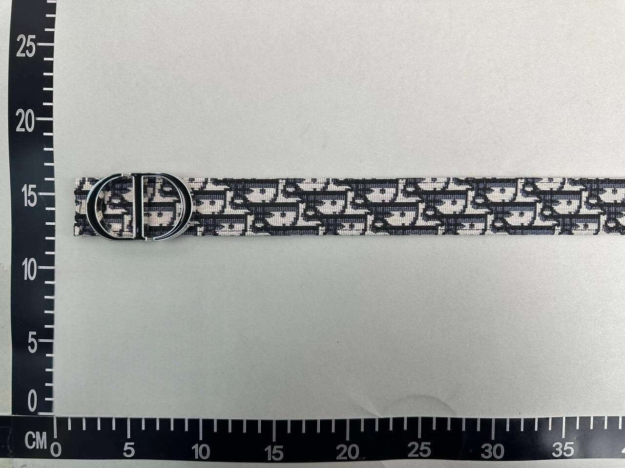 Dior Belt -2