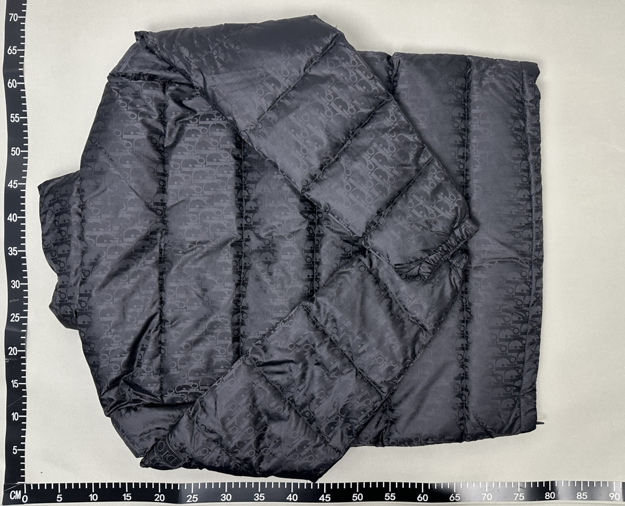 Dior Oblique Down Jacket Padding -3