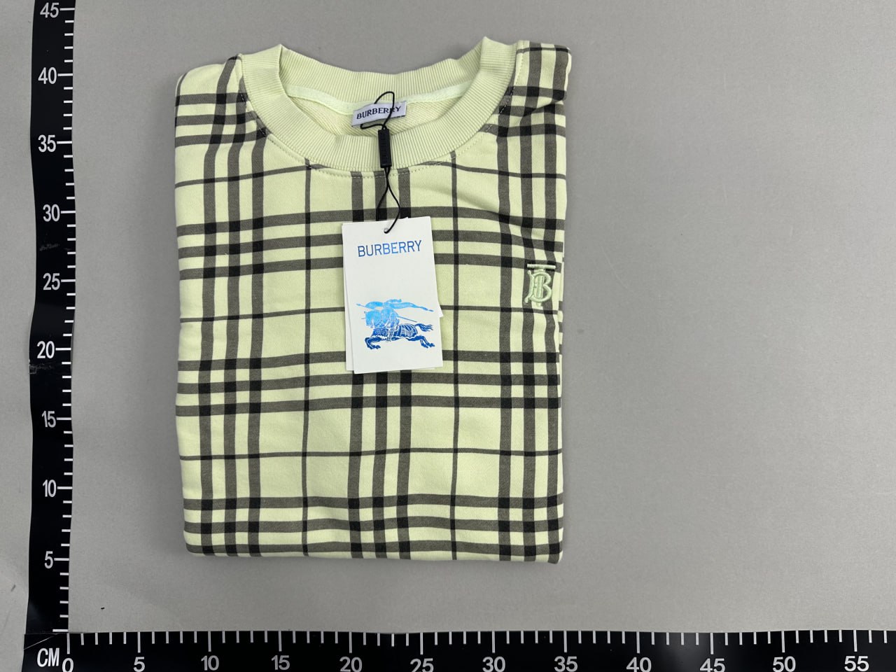 Burberry Hoodie -2