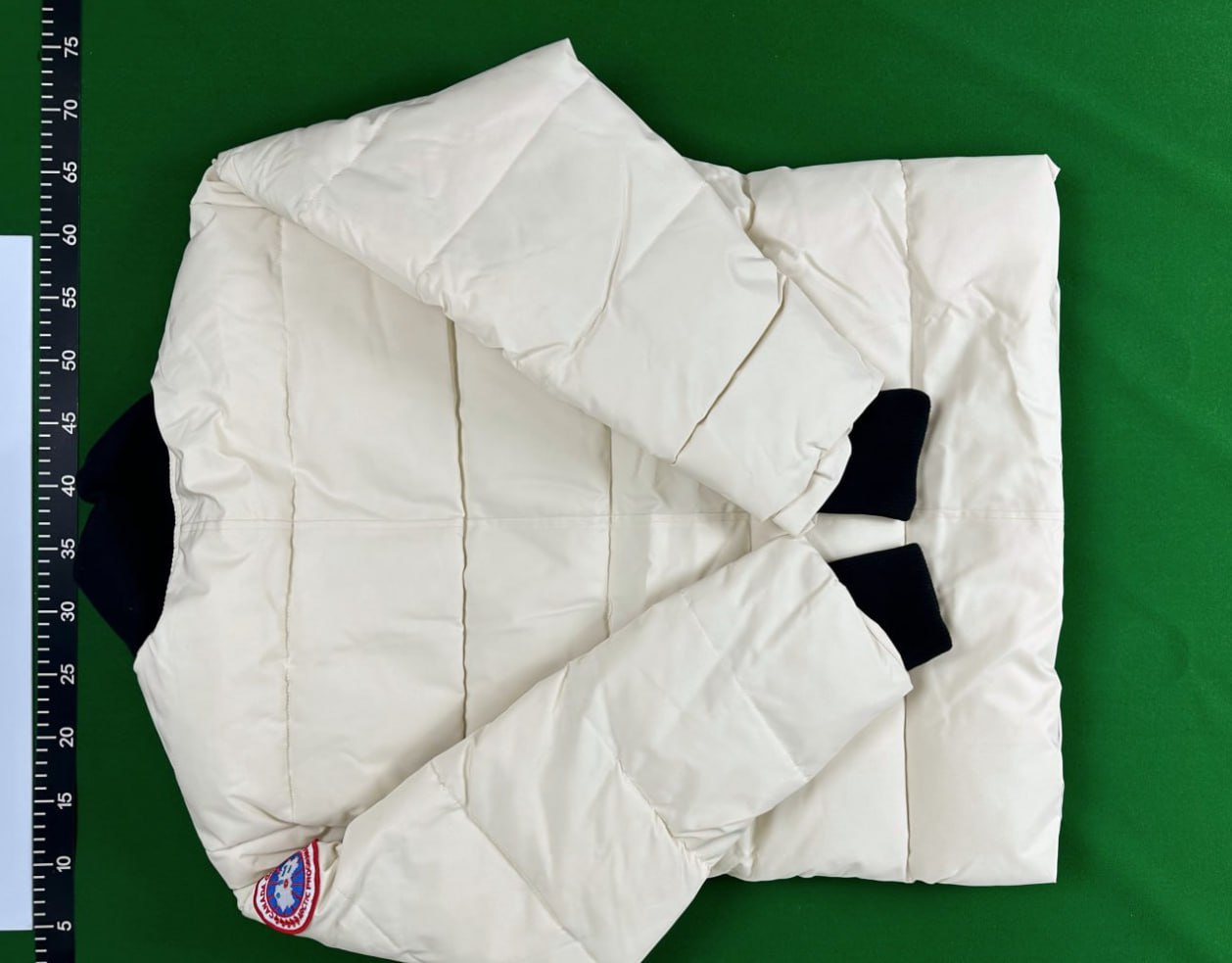  Canada Goose Puffer -4