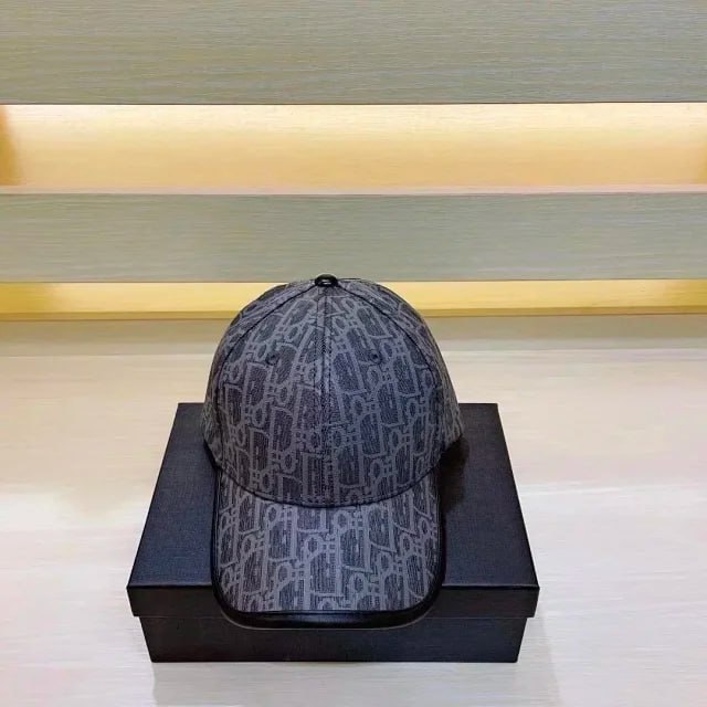  gucci Dior fendi cap -2