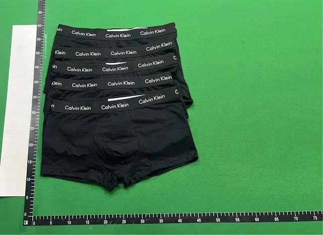  CK DIOR briefs -2
