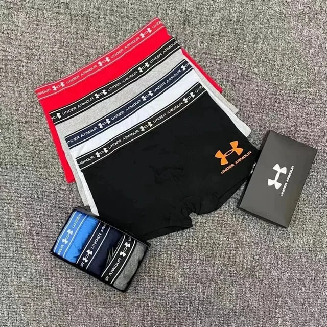  CK DIOR briefs -4