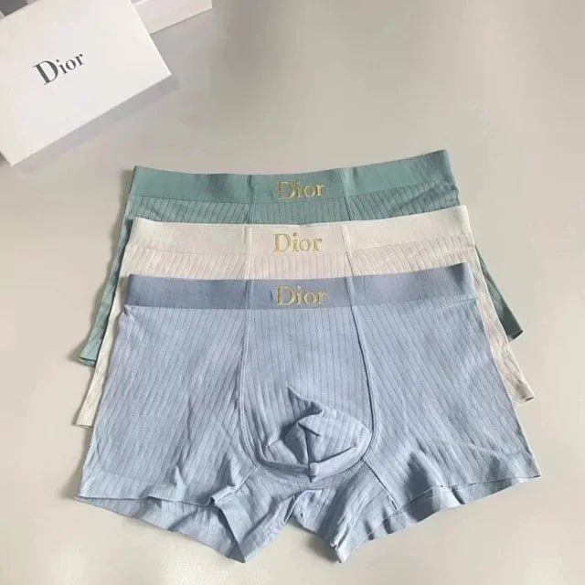  CK DIOR briefs -3