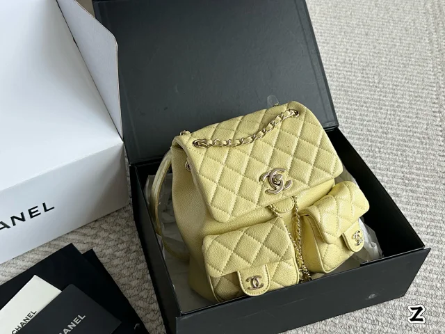 Chanel duma bag -2