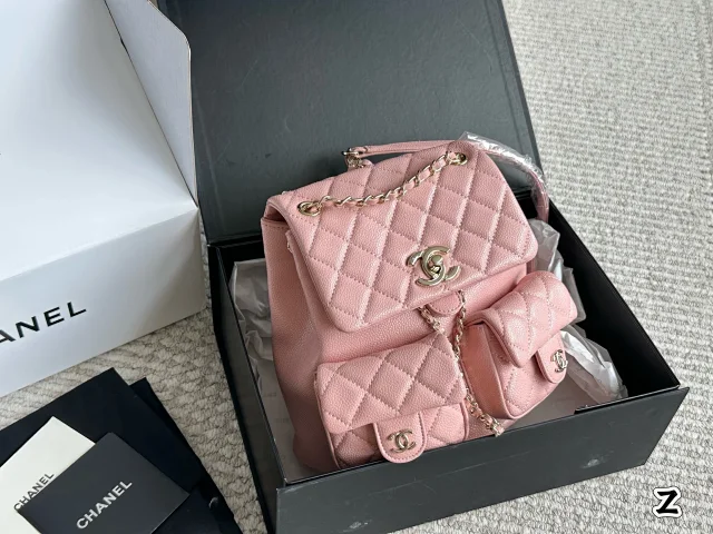 Chanel duma bag