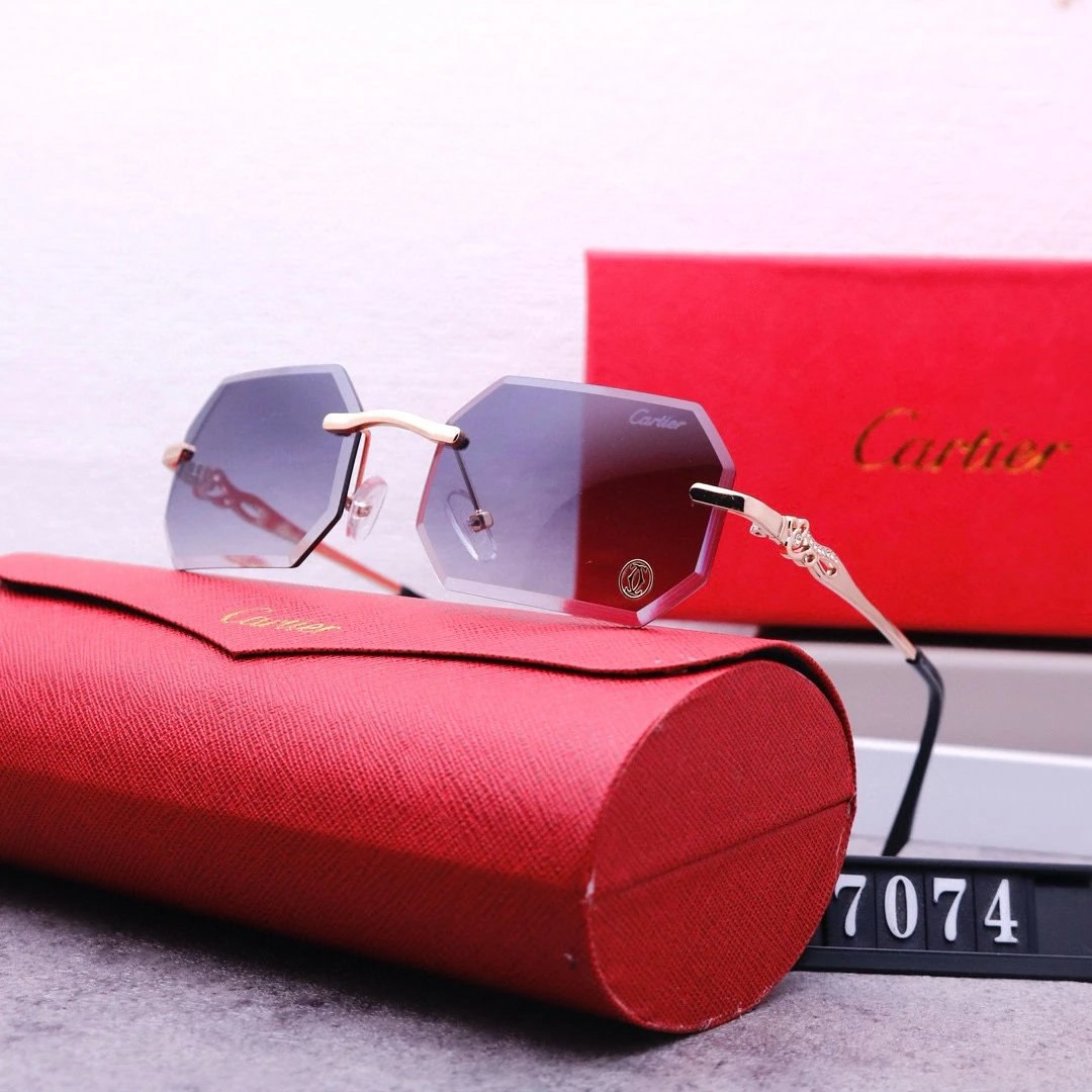 Cartier Retro Sunglasses -4