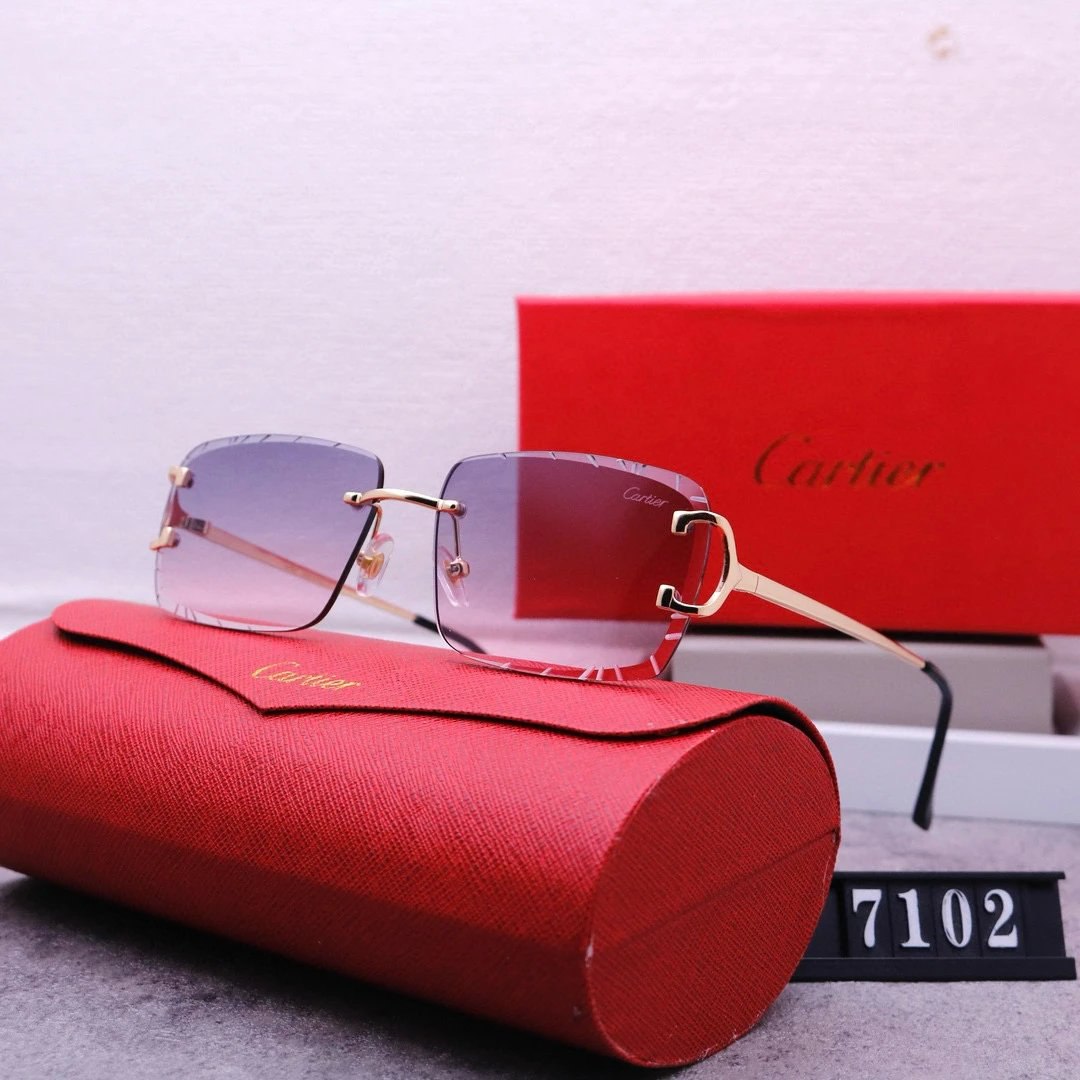 Cartier Retro Sunglasses -2