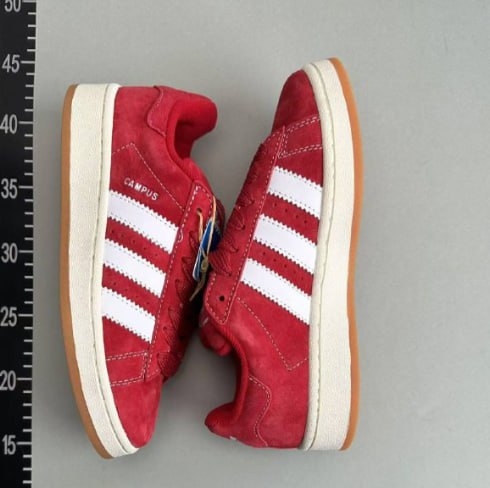     Adidas campus  -4